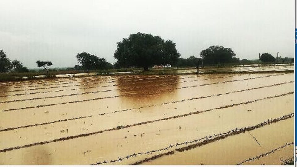 Heavy rain cars parked in the parking lot drowned people jammed the service road in Firozabad