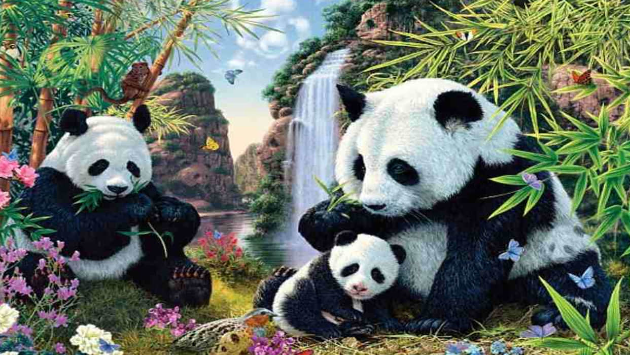 Optical Illusion for Personality Test Spot 12 Pandas from Viral Photo Check Your Brain IQ