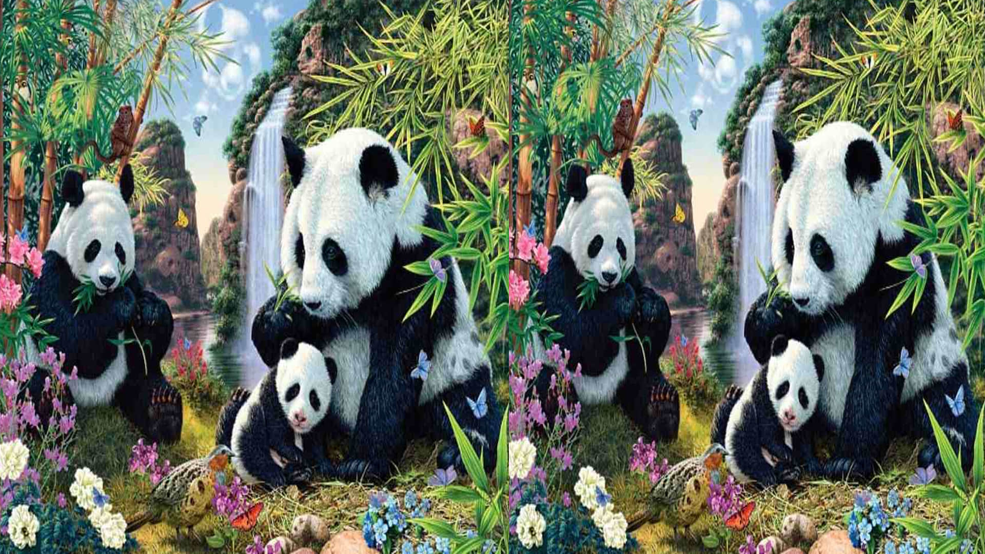 Optical Illusion for Personality Test Spot 12 Pandas from Viral Photo Check Your Brain IQ