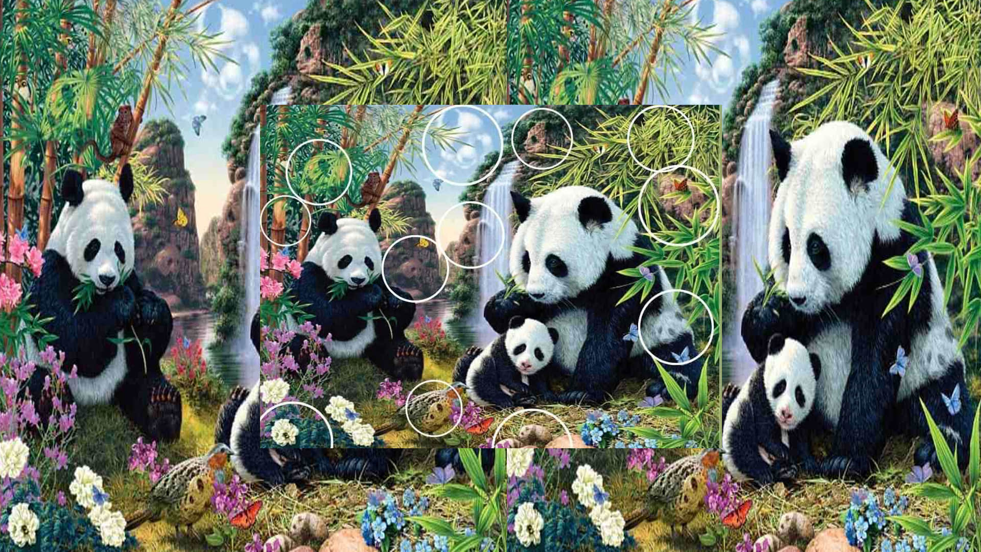 Optical Illusion for Personality Test Spot 12 Pandas from Viral Photo Check Your Brain IQ