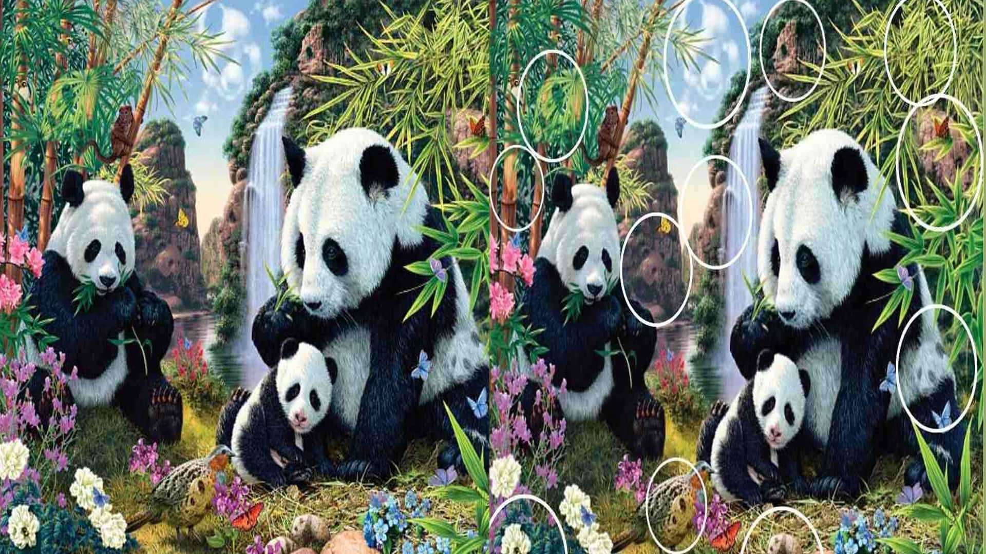 Optical Illusion for Personality Test Spot 12 Pandas from Viral Photo Check Your Brain IQ