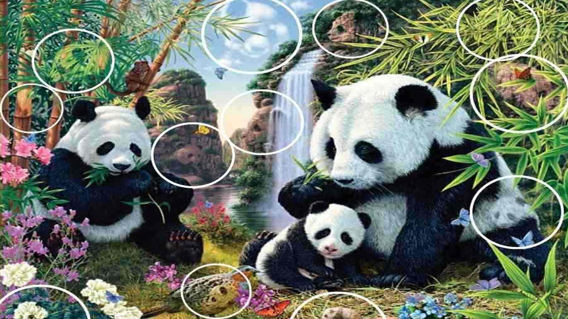 Optical Illusion for Personality Test Spot 12 Pandas from Viral Photo Check Your Brain IQ
