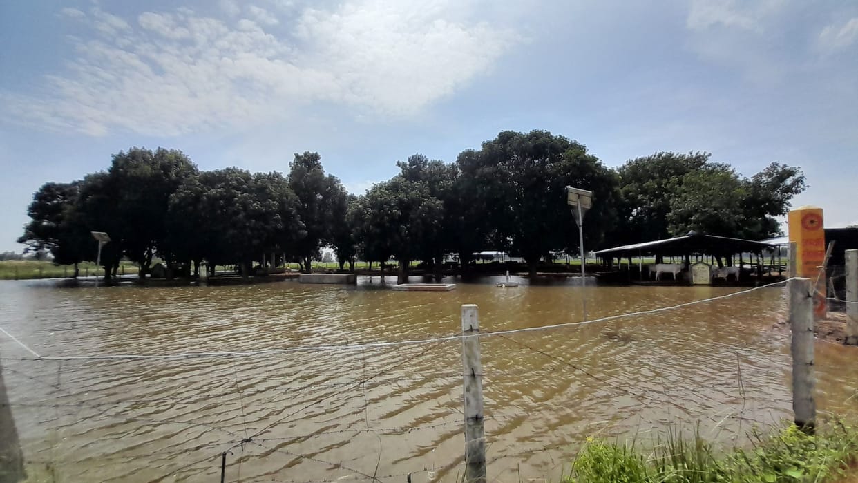 Water filled in cowshed, problems for animals