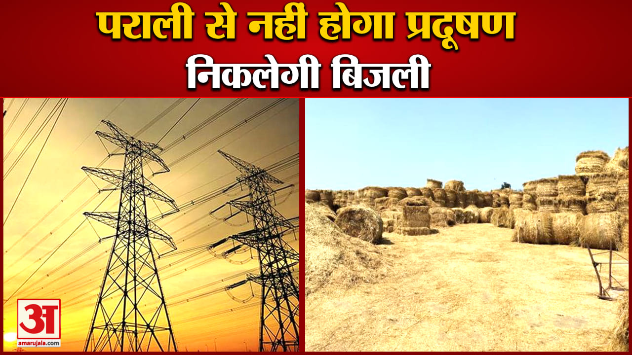 पराली