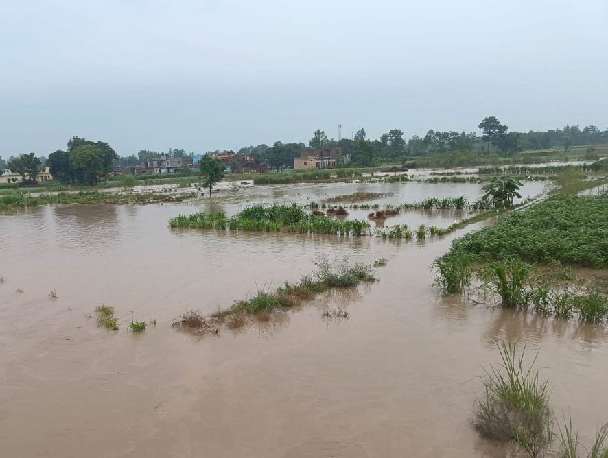 Ganga and Malan river in spate, Kotawali river is cutting