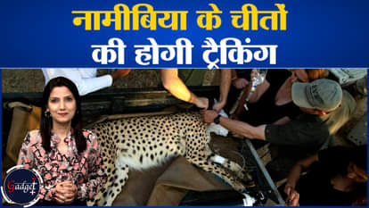 Cheetahs are being tracked by Caller ID, know the benefits of Caller ID.