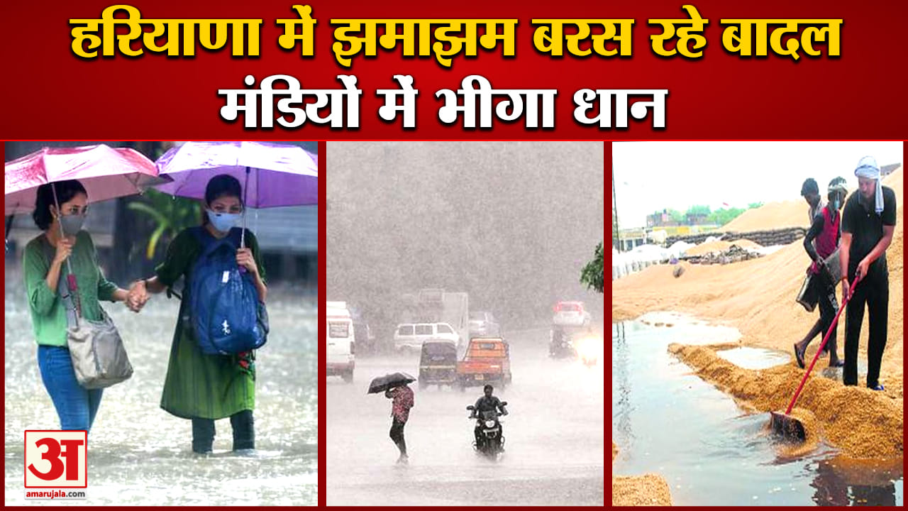 हरियाणा मौसम
