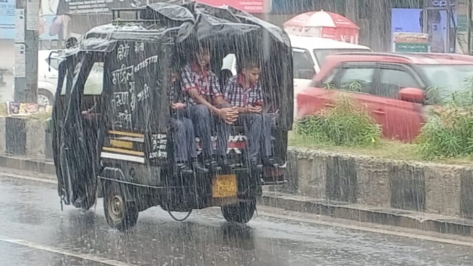Monsoon become active once again in Haryana