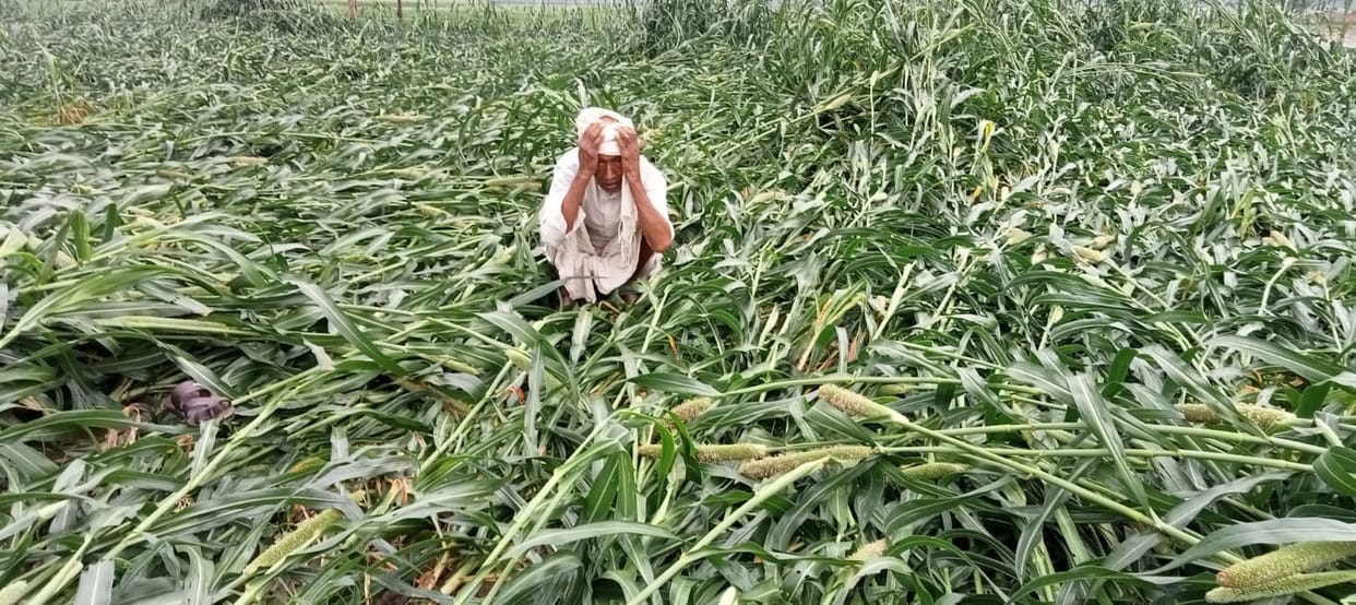 The rain threw water on the wishes of the farmers facing drought