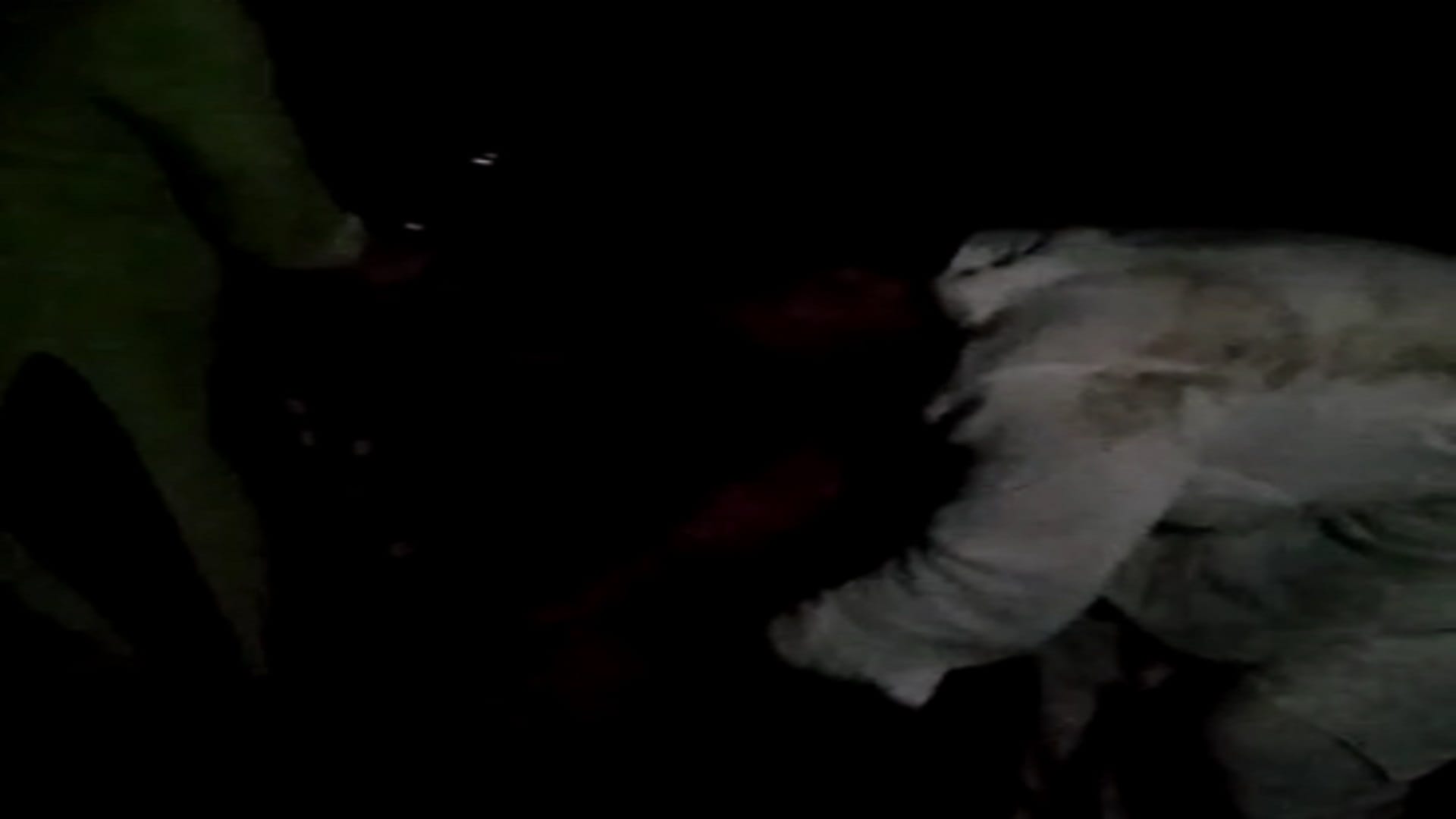 The dog attacked on accused after molesting the woman in Shamli see photos