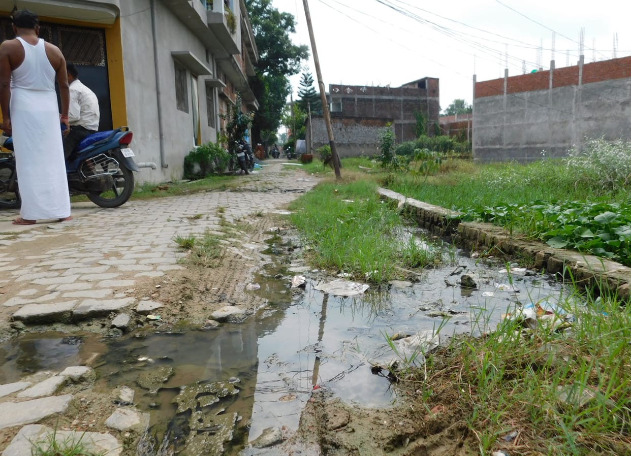 Dirt may increase the risk of dengue in the city