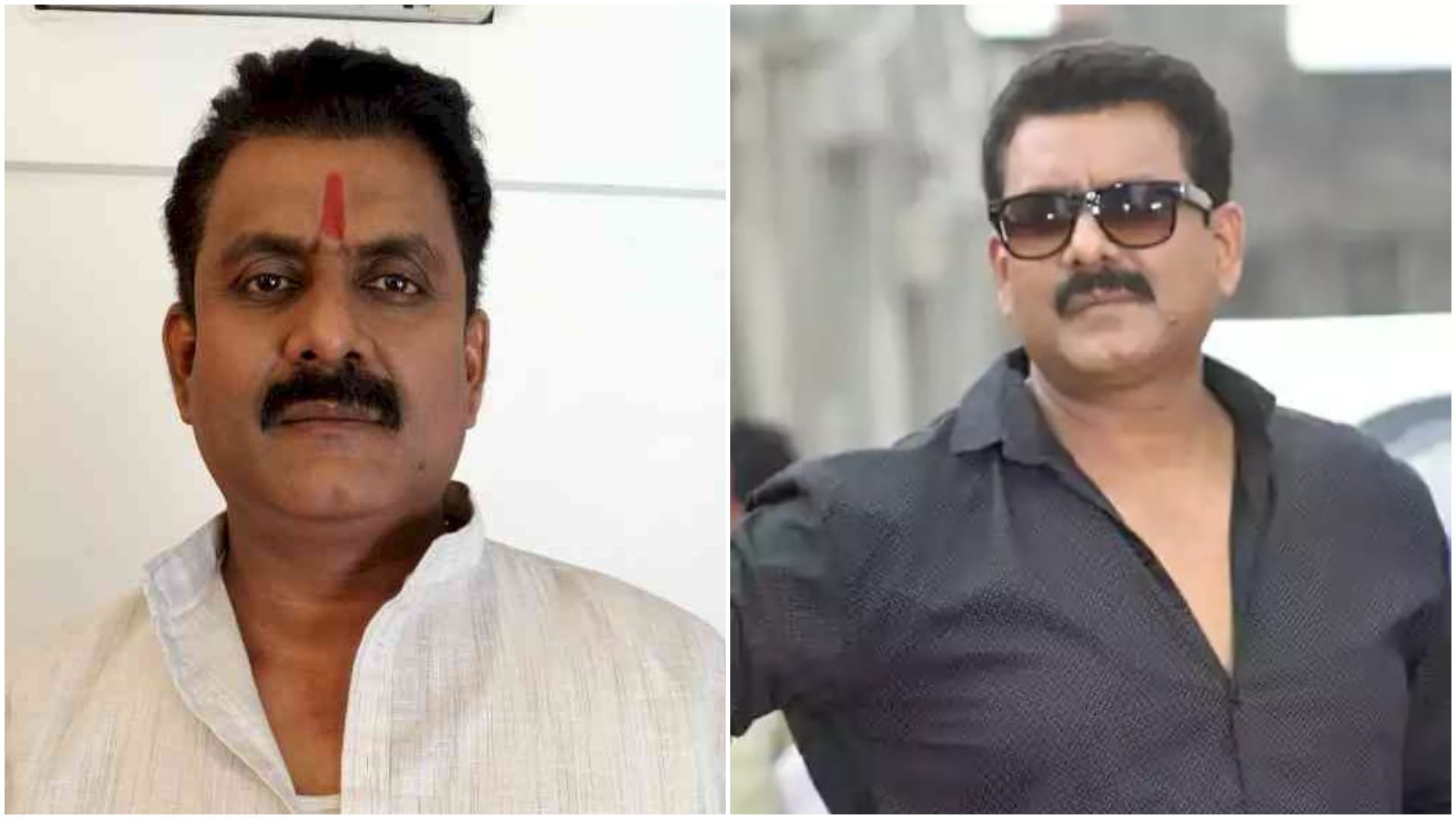 Most Famous Villains in Bhojpuri Industry Awdhesh Mishra Amit Shukla Sushil Singh Prem Dubey Karan Pandey