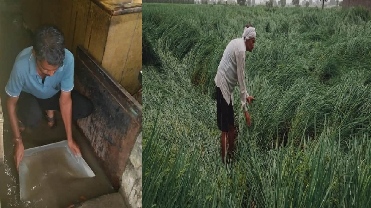 Water stopped on highway and streets due to rain in Baghpat and loss of crops of farmers