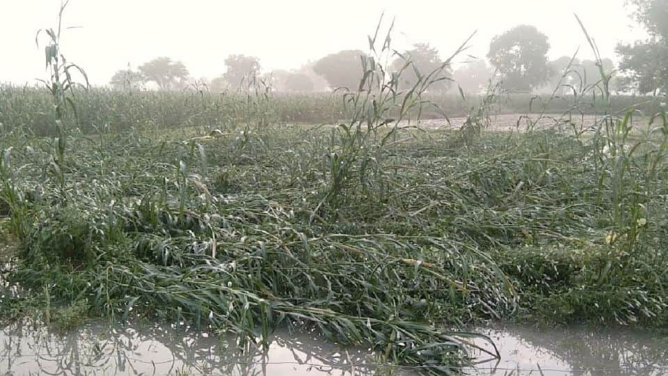 Five people died so far due to the house collapse during the rain in Firozabad