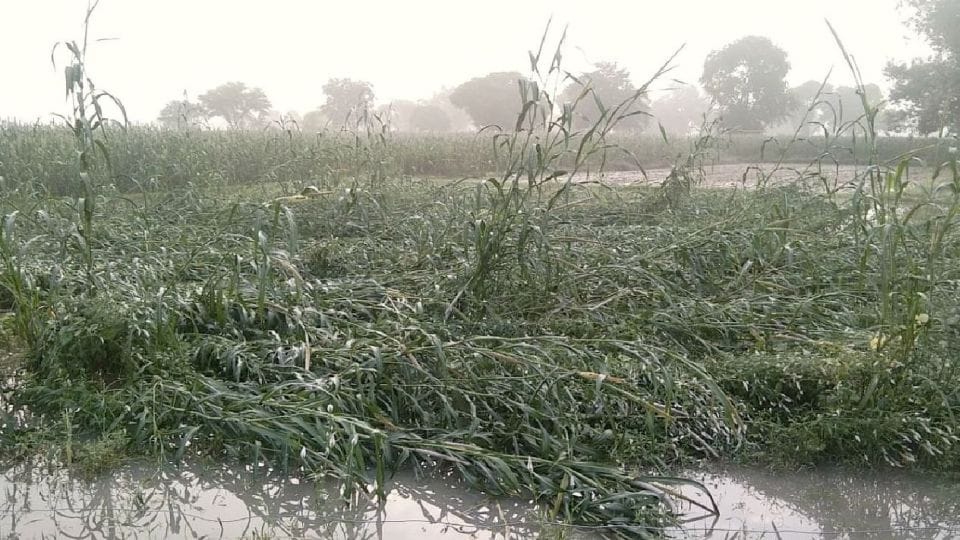 Five people died so far due to the house collapse during the rain in Firozabad