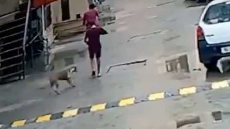 11 year old child bitten by dog in Amrapali Village Society of Ghaziabad