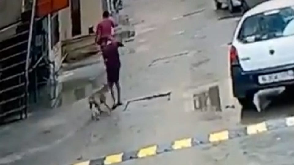 11 year old child bitten by dog in Amrapali Village Society of Ghaziabad