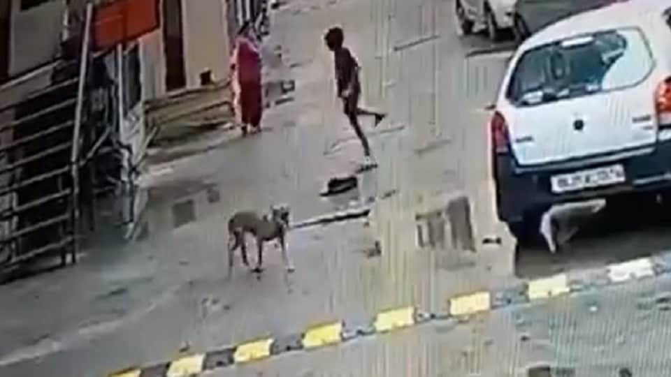 11 year old child bitten by dog in Amrapali Village Society of Ghaziabad