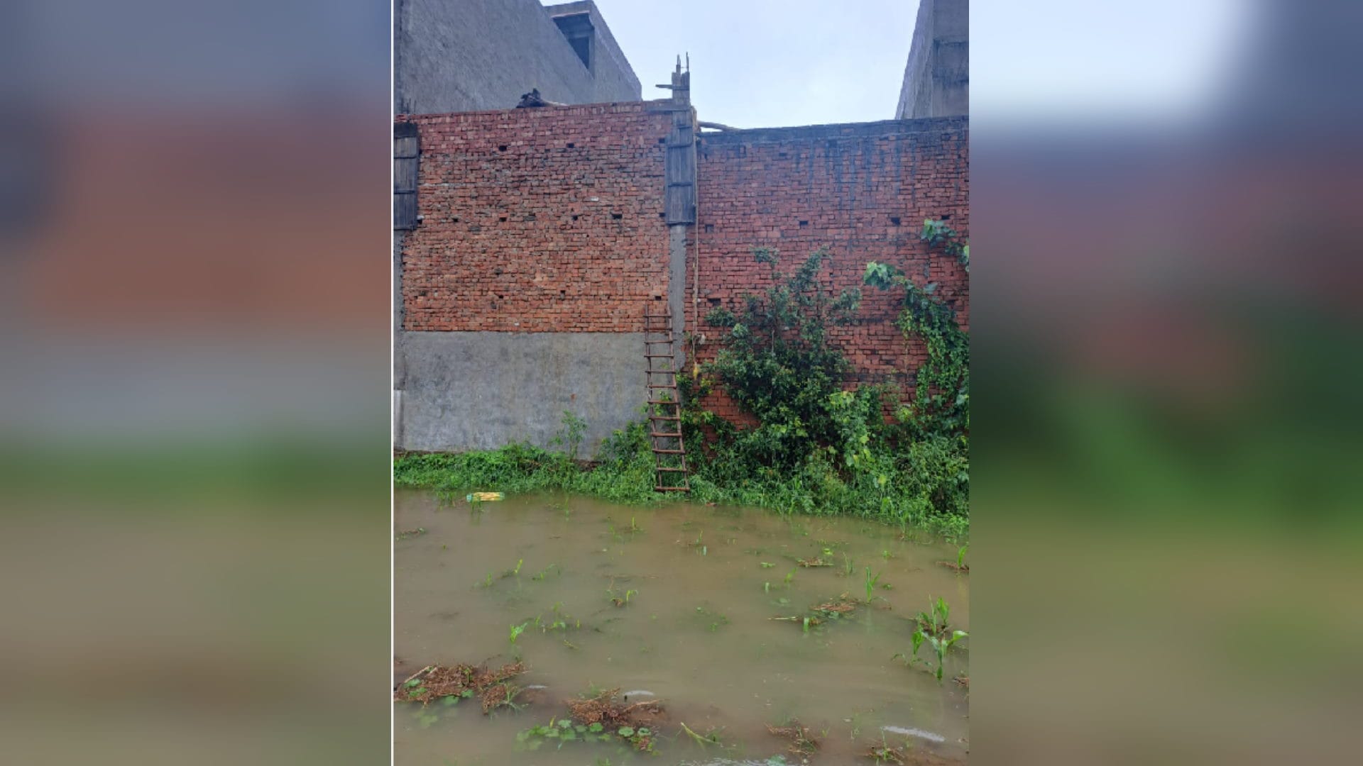 Youth killed after robbery in house in Muzaffarnagar, family is in shock see photos