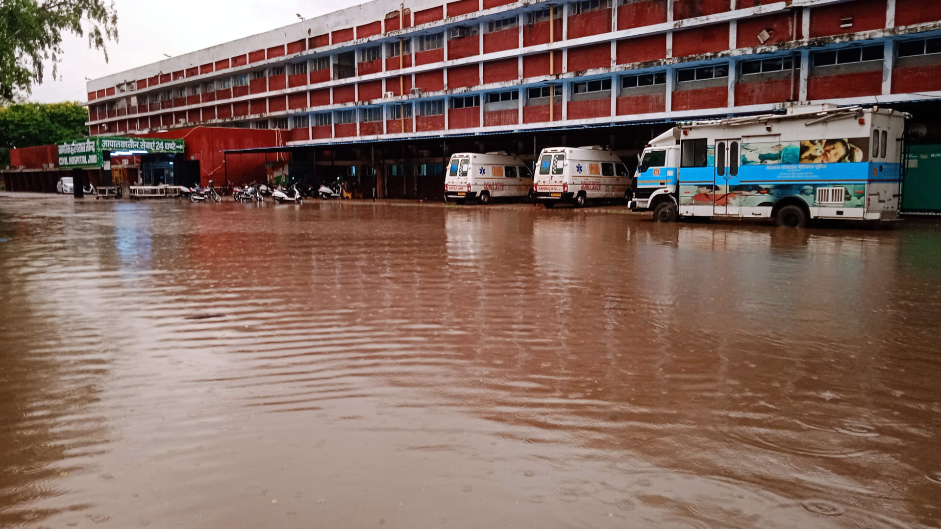 Heavy damage to crops due to rain in Haryana, Yellow alert even further