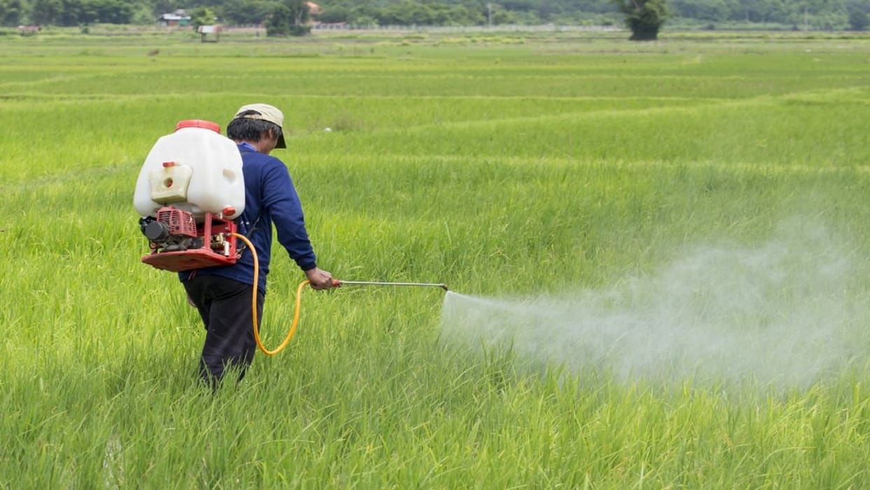 Nano Urea will brighten the fortunes of farmers country's second plant ready in Prayagraj