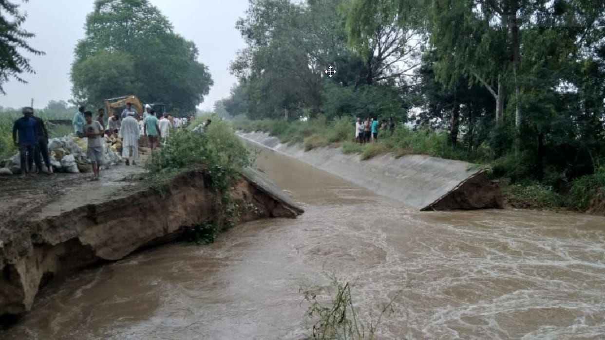 Waterlogging in 700 acres of agricultural land of Rohnat village due to breaking of Sunder canal