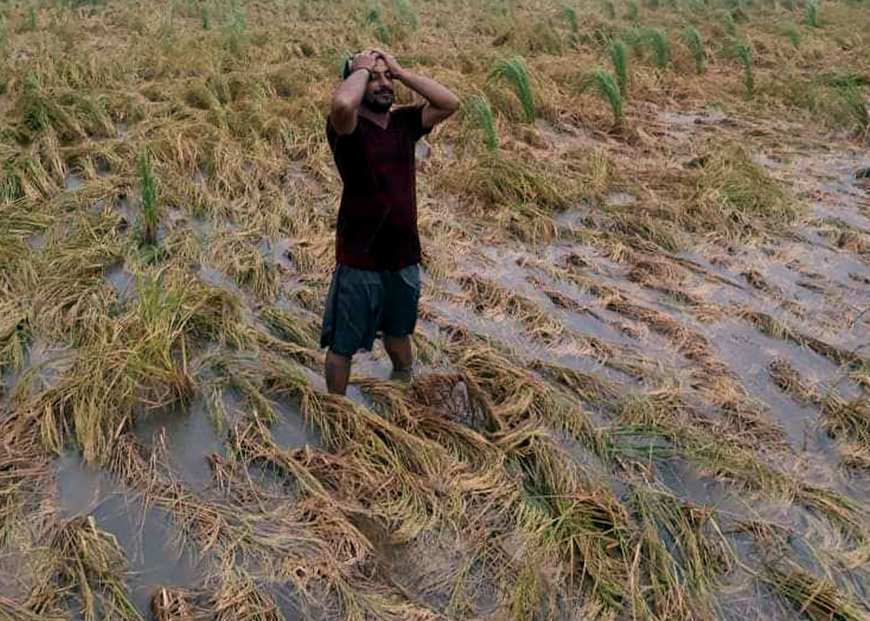 Waterlogging in the city due to rain, crops damaged, Kurukshetra