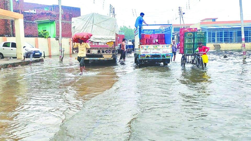 Five people died so far due to the house collapse during the rain in Firozabad