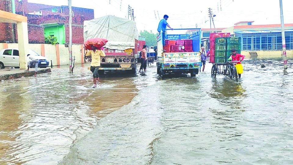 Five people died so far due to the house collapse during the rain in Firozabad