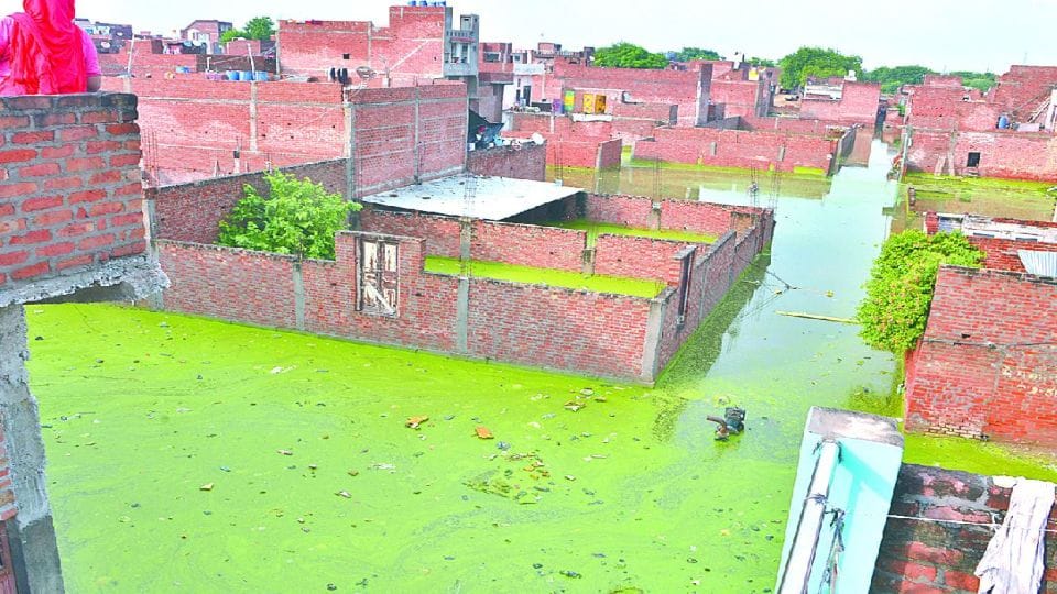 Five people died so far due to the house collapse during the rain in Firozabad
