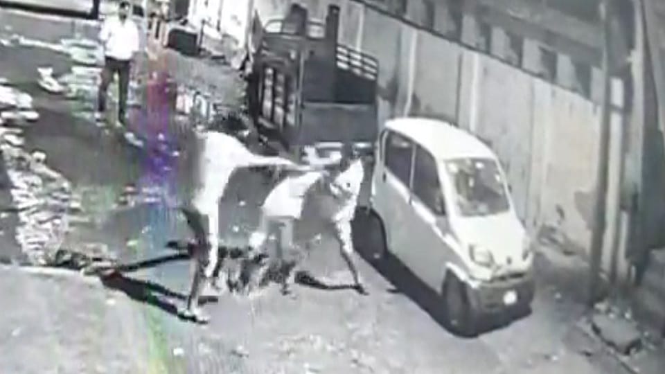 shoe Factory Worker Killed For Not Giving Money For Liquor In Agra