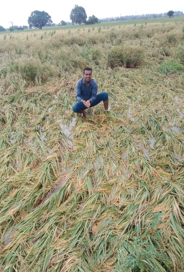 Fields full of water, farmers worried, Kurukshetra