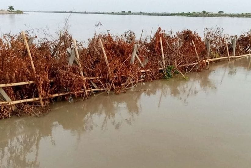 Ganga's water level reaches 32 cm above danger mark