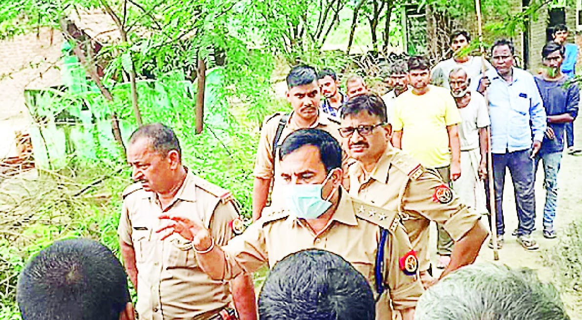 Tension over killing of protected animal in Auraiya, six accused arrested