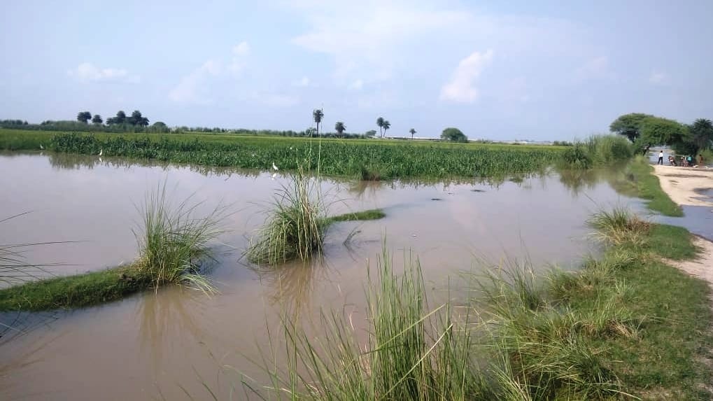 Bagwas dam cut, crops of four villages submerged