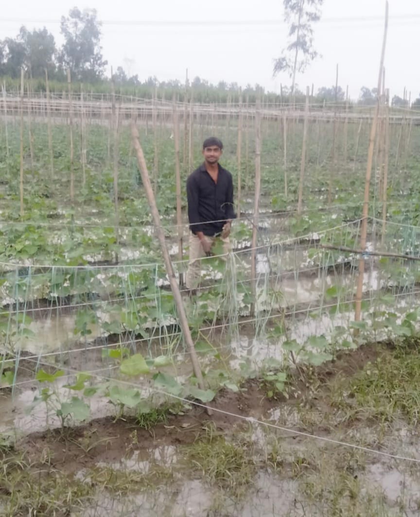 The rain has spoiled the hopes of farmers