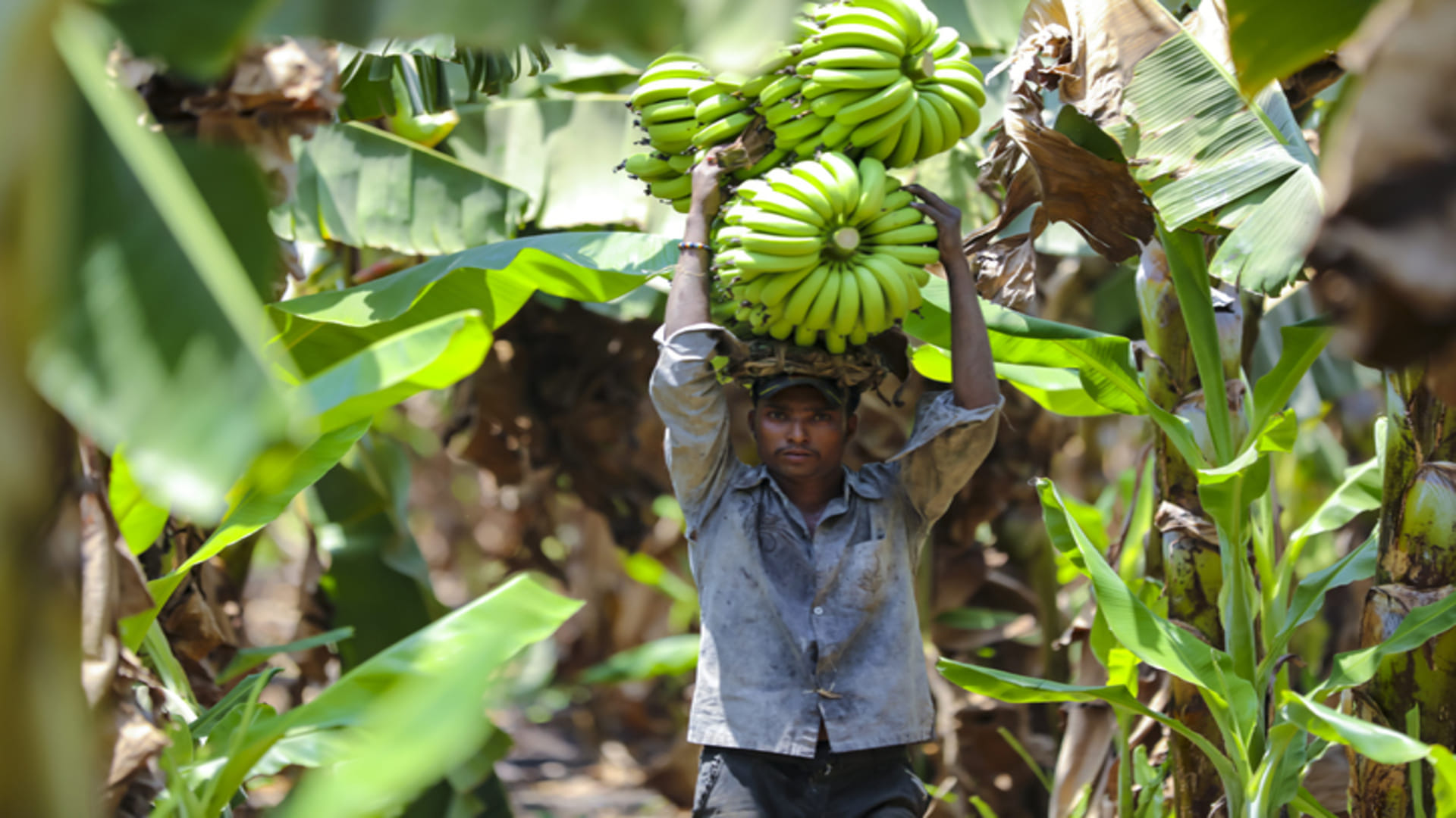 Small Investment Business Ideas in Hindi Know How to get High Returns on Less Investment Money