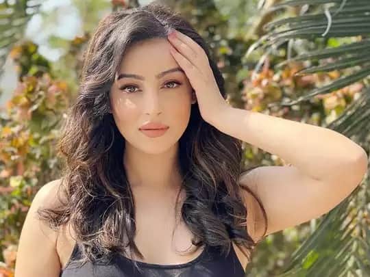 Bigg Boss 16: From Gautam Vij to Chandni Sharma these stars will be the part of Bigg Boss house this season