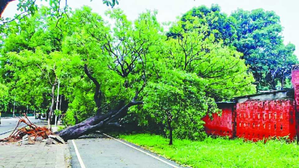 UP Weather: Chances of hailstorm with strong wind today