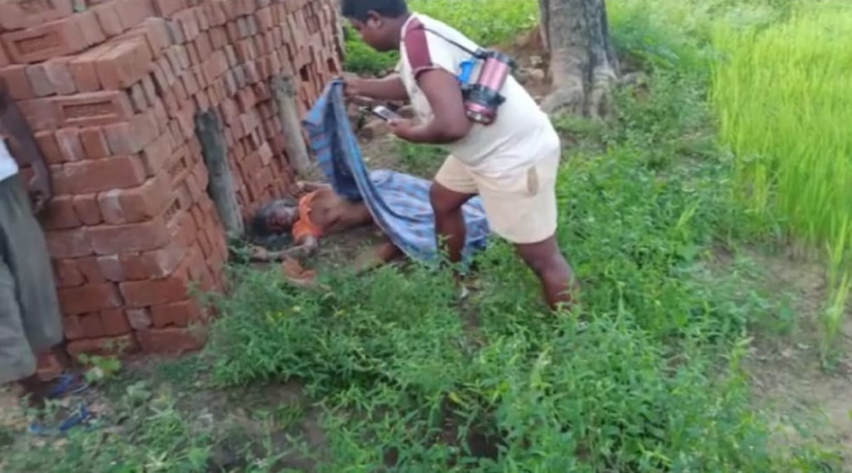 elephant attack in chhattisgarh; elderly woman killed by elephant in jashpur