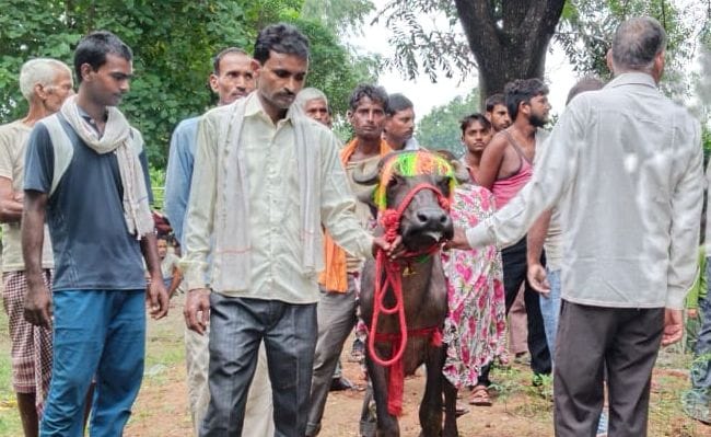 Hardoi, Padiya got shaved after fulfillment of the wish