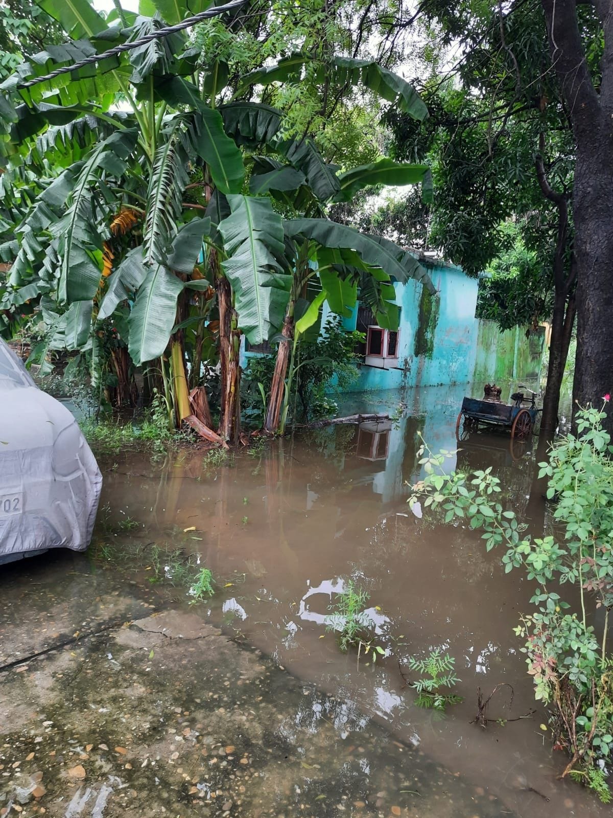Flowting Water in Sugar Cane Socety's Staff  Colony