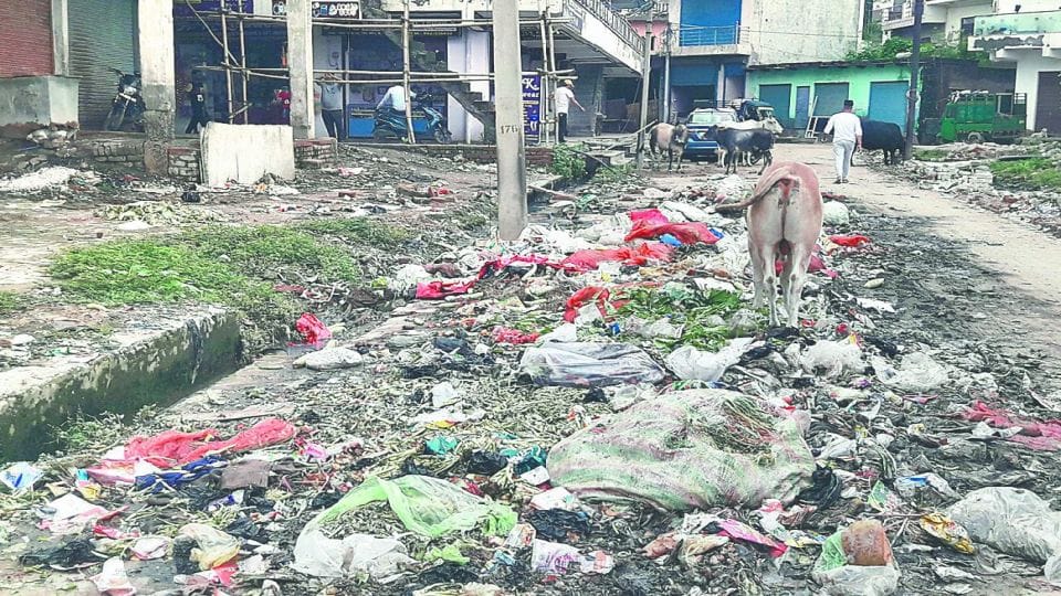 Garbage piles in front of houses in Aawas Vikas Colony sector-1 in Agra