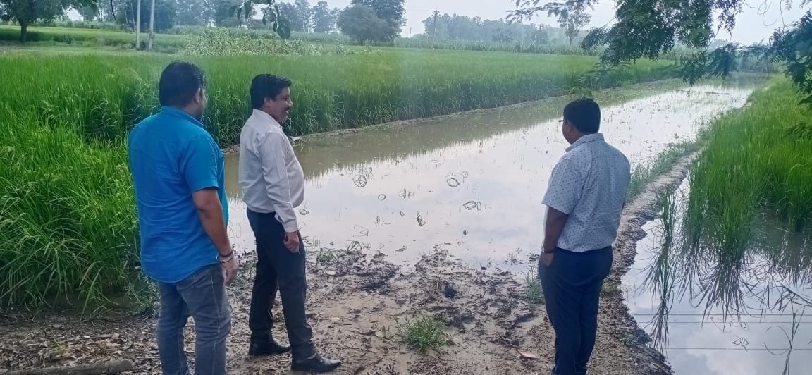 SDM inspected the waterlogged area, gave instructions for drainage