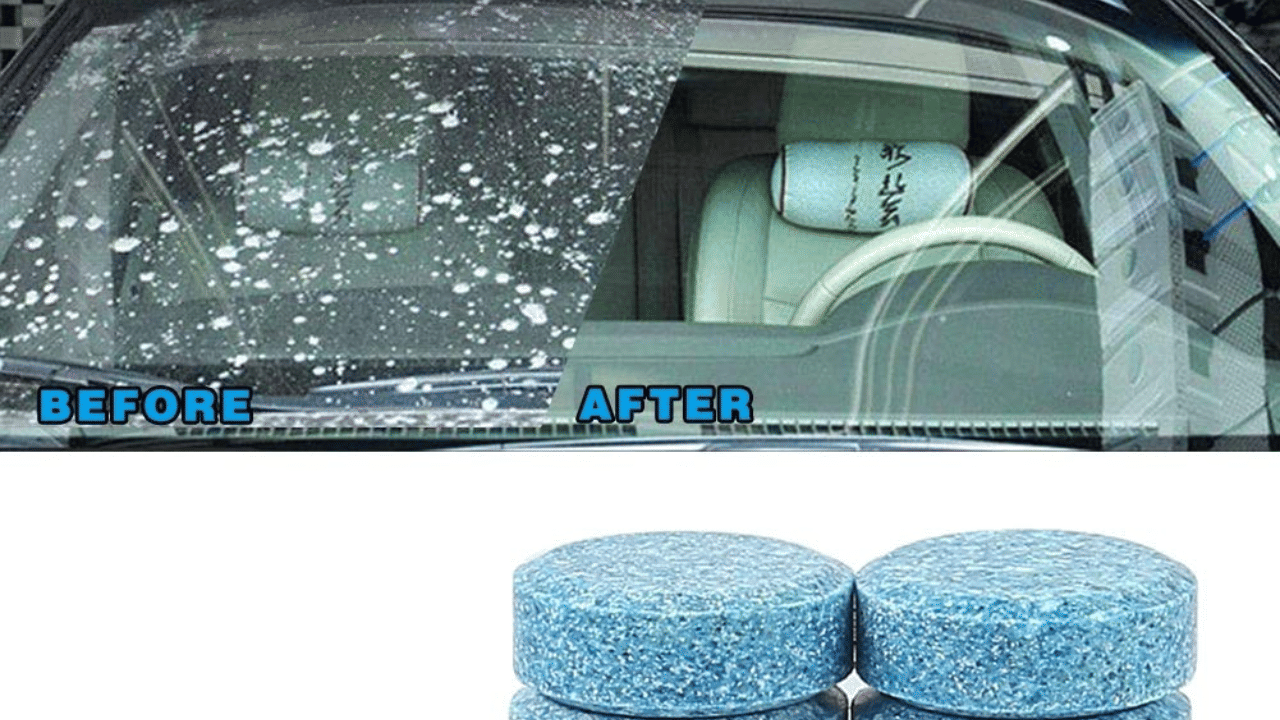 online sale discounts on car accessories car trash bin sunvisor tissue box glass clean tablet car perfume tyre