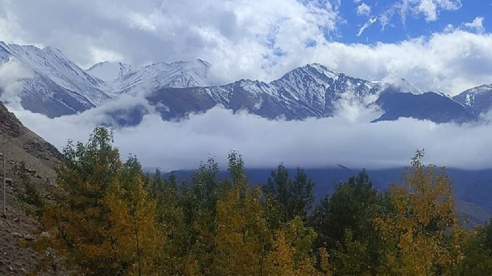 Snowfall in Kashmir: Season first snowfall in higher reaches of Gulmarg north kashmir
