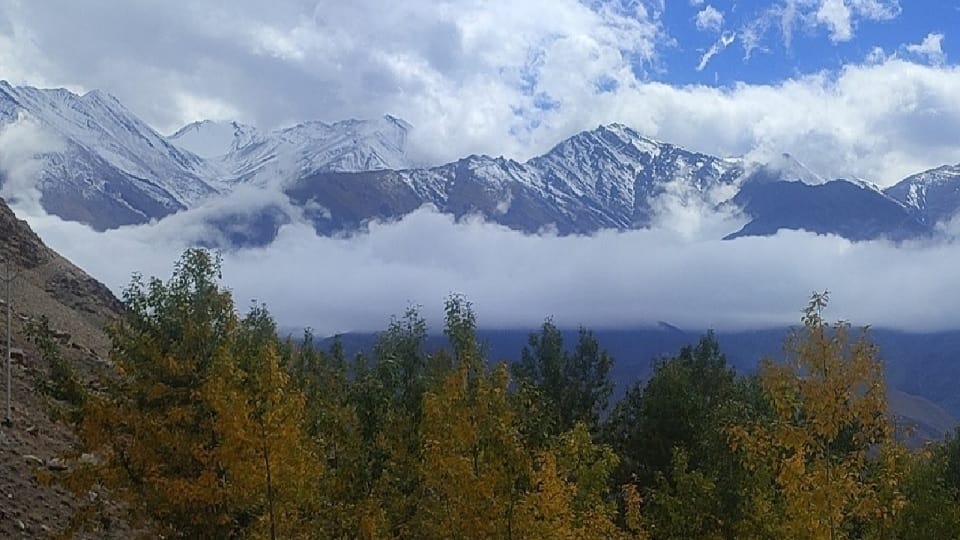 Snowfall in Kashmir: Season first snowfall in higher reaches of Gulmarg north kashmir