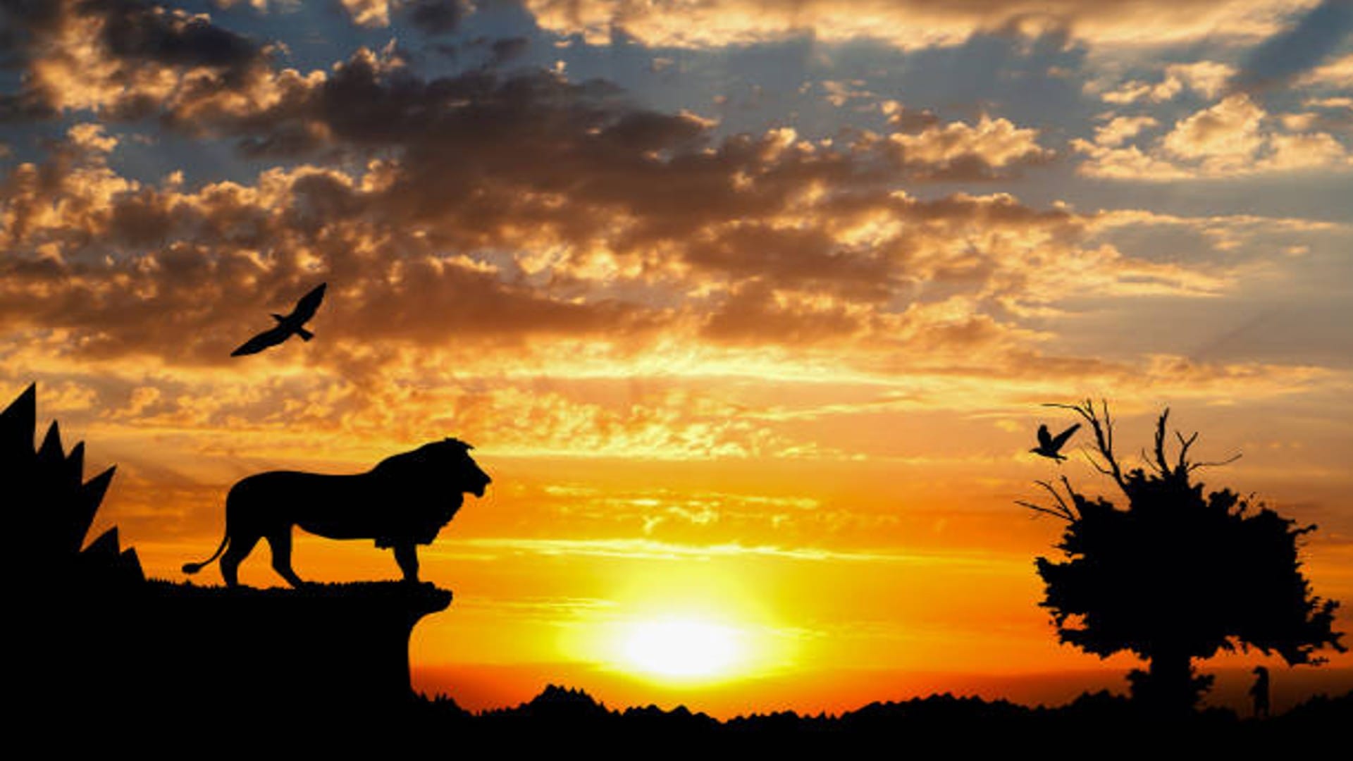 Navratri Mein Sher Dekhna Shubh Ya Ashubh Lion In Dream Meaning In Hindi