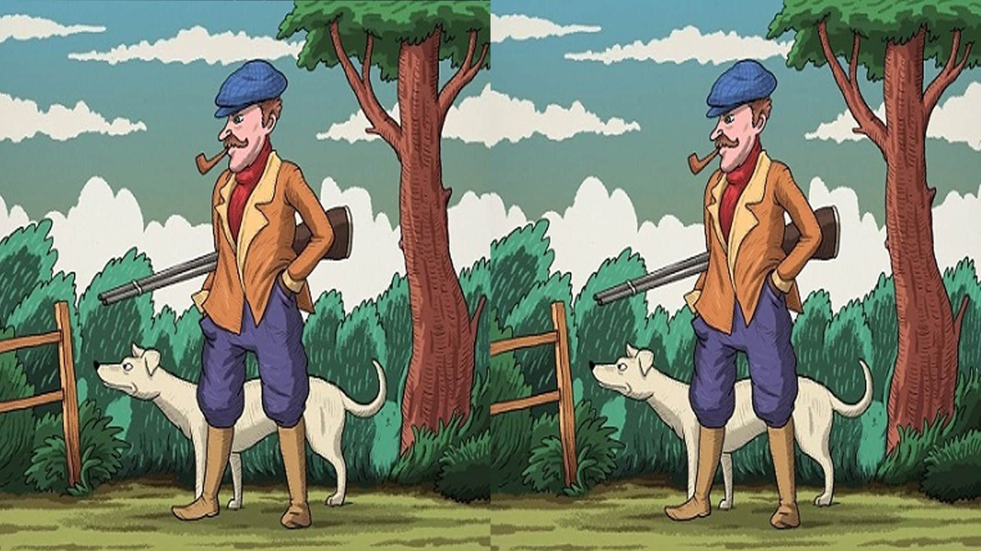 Viral Optical Illusion Photo: Find Out Hidden Rabbit from Picture in Five Seconds Illusion to Test Your Brain