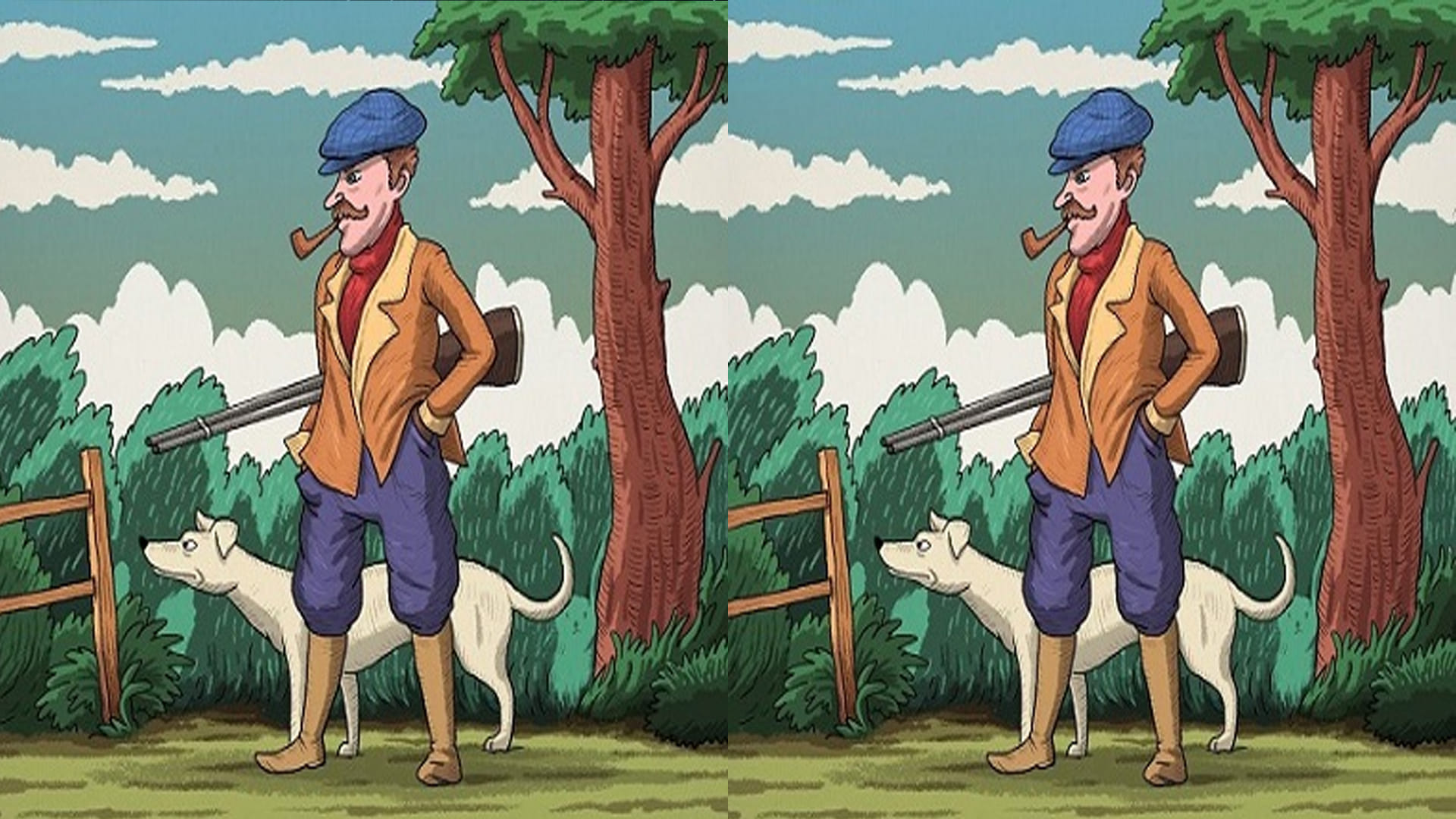 Viral Optical Illusion Photo: Find Out Hidden Rabbit from Picture in Five Seconds Illusion to Test Your Brain